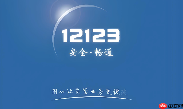 电子驾驶证照片不满意怎么更换_交管12123重新上传照片详细指南