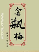 金瓶梅兰陵笑笑生-金瓶梅电子书下载
