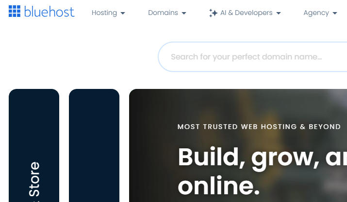 bluehost官网：https://www.bluehost.com