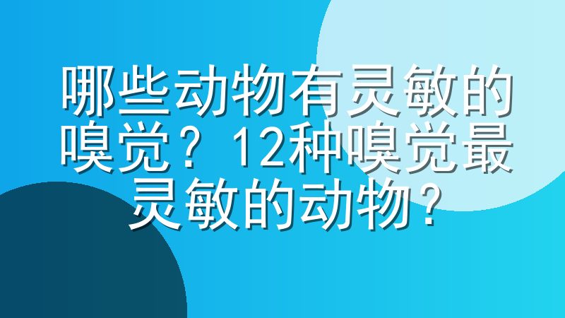 哪些动物有灵敏的嗅觉？12种嗅觉最灵敏的动物？
